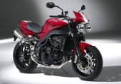 2010 Triumph Speed Triple SE photo